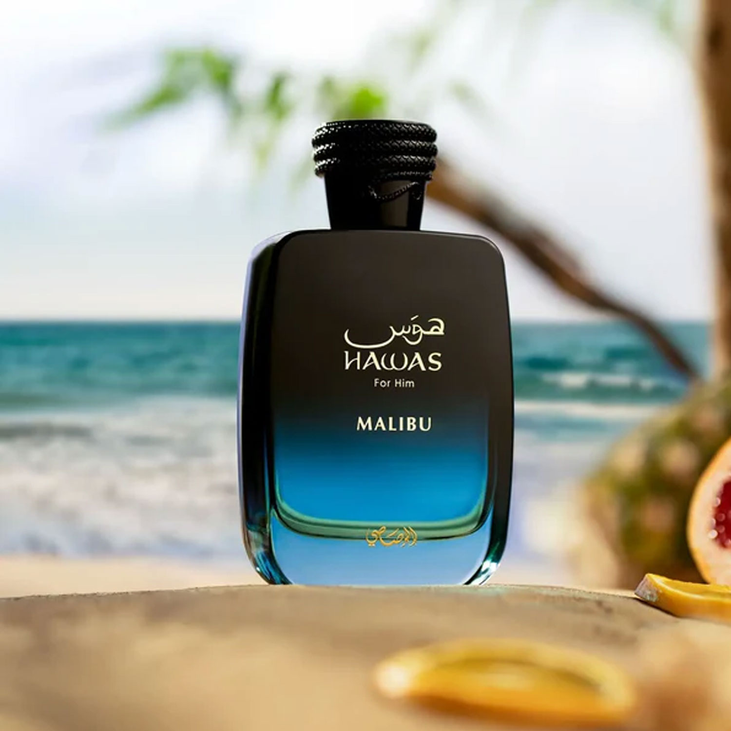 Hot Sale Malibu For Him Eau de - đánh giá và giá Perfume Fragrance Sale